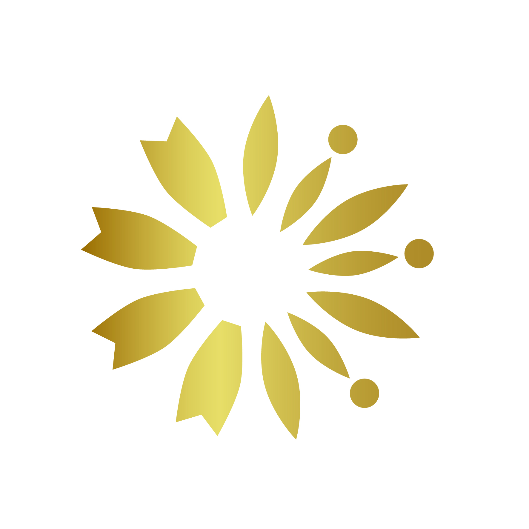 行政書士法人晴れの国事務所